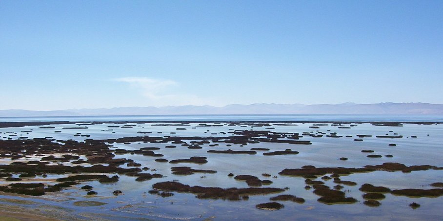 Lake Junin with a car on its borders