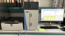 Ionenchromatographie (IC)