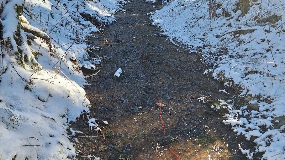 During a field campaign in February 2025 in Ergebirge, Germany, a fiber-optic cable (red) was installed in a headwater stream to capture inflowing (warm) groundwater