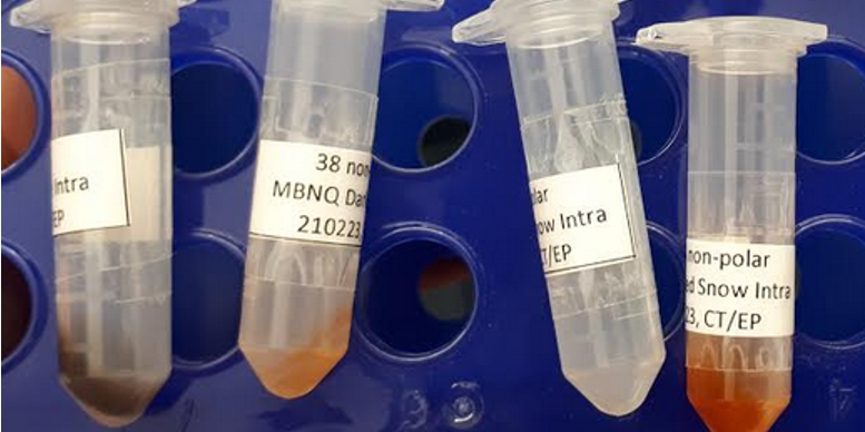 Within the Deep Purple project, we investigate pigmented microorganisms which inhabit the Greenland Ice Sheet and accelerate the ice melt due to surface darkening. We aim to improve our understanding of the processes governing pigment formation by investigating the metabolome of purple-brown ice algae (1) as well as red (2) and green snow algae. The picture above shows polar (1A, 2A) and non-polar (1B, 2B) intracellular metabolite extracts of ice and snow samples from our summer 2020 fieldwork. We are excited to see indications of a high abundance of water-soluble purple pigments such as purpurogallin in the ice algae and the prevalence of less polar orange and red pigments such as carotenoids in the red snow algae and look forward to the LC- and GC-MS results of our untargeted metabolome study.