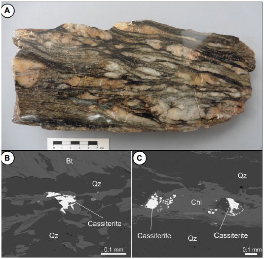 Glimmerschiefer mit metamorph entstandenem Kassiterit von Bockau, Erzgebirge (A). Früher Kassiterit in progradem Biotit (Bt) (B). Später enstandener Kassiterit in retrogradem Chlorit (Chl) (C). Qz - Quarz.