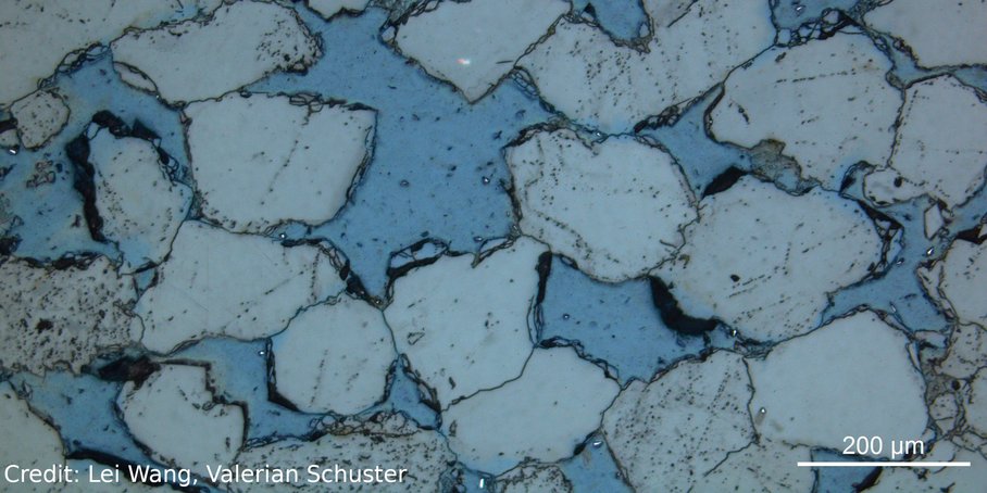 close up of grains