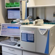 Flash Elementaranalysator 2000