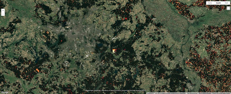 A satellite image of a landscape featuring many small patches in various shades of green. Interspersed among them are splashes of white, yellow, orange and red, which are much more frequent and denser on the eastern side of the image – in Poland.