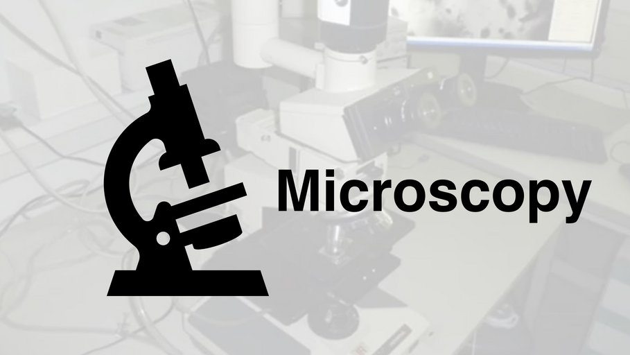 Icon with a microscope