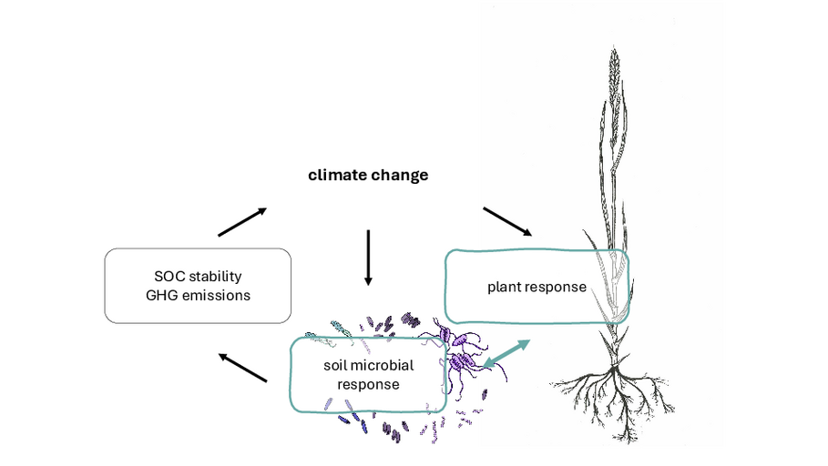iosphere-Climate Feedbacks