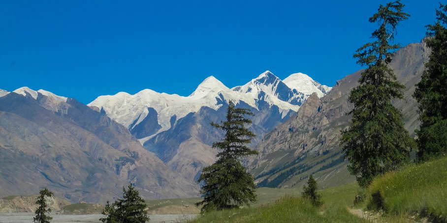 Blick über eine grüne Wiese auf eine Schneebedeckte Bergkette.