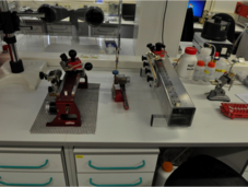 WSL Schlittenmikrotome