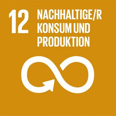SDG icon