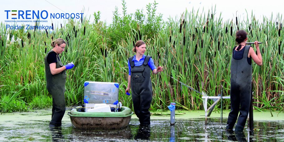 Fieldwork Zarnekow Polder