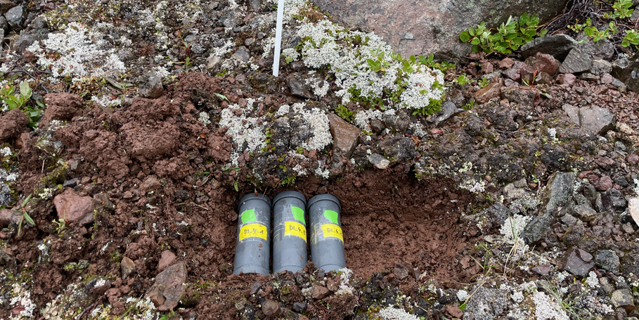 Fungal colonization columns filled with uncolonized sediment from the glacier front placed in the topsoil of the forefield for a year in summer 2024. Local microbial communities can colonize the sediment inside through filters placed at the entrances of the columns.