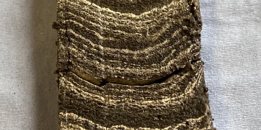 Annually-deposited sediment layers (varves) in the core from Lake Babogaya, Ethiopia