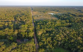 Luftaufnahme eines Regenwalds: Dichte grüne Bäume, durchzogen von einer schmalen langen Straße. Am Horizont der Himmel.