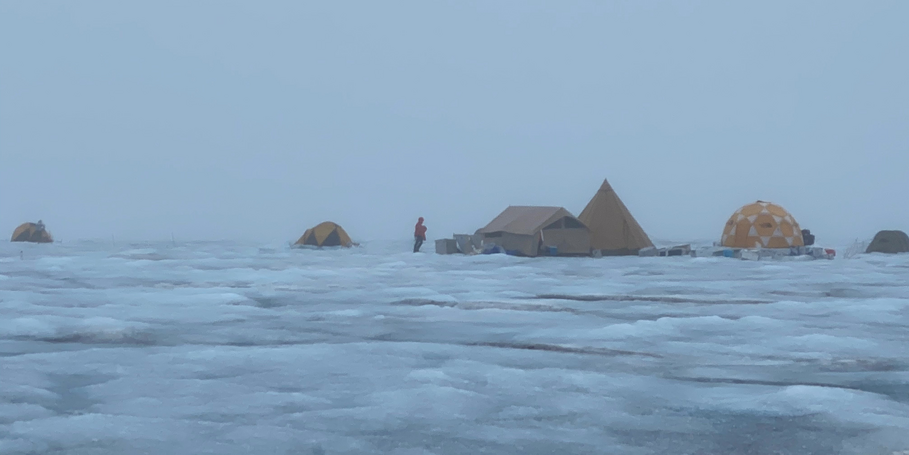 Greenland on a rainy day, 2020 field work
