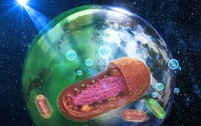 Archaic green sea that triggered the evolution of oxygen-producing cyanobacteria
