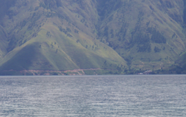 The picture shows green overgrown mountains with water