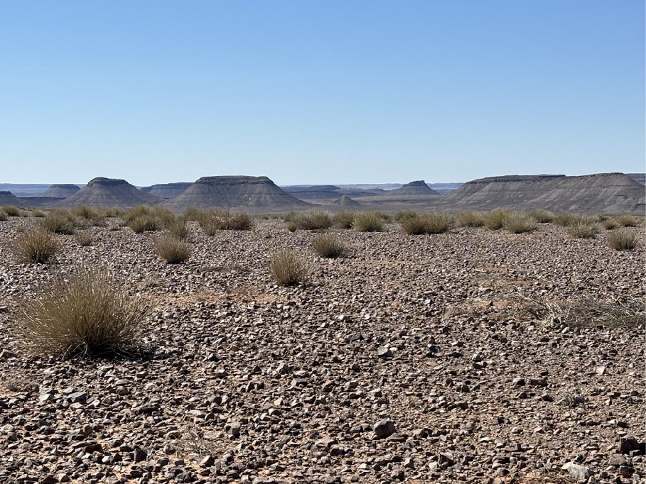 Wüstenpflaster-Landschaft in Namibia