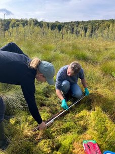 sampling at Müritz national park