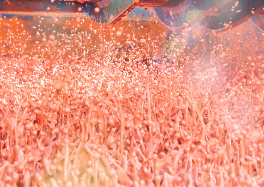 The image shows many small salmon-colored droplets jumping vertically upwards.