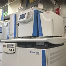 ThermoFisher Scientific Gaschromatograf (Trace 1310)