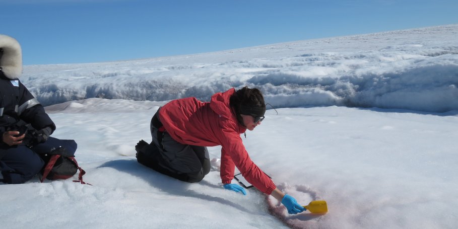 Sampling red snow in Greenland