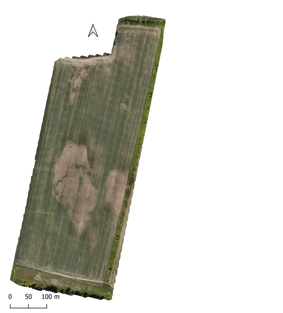 DJI Phantom 4 RGB Komposite des Testfeldes in Groß Kreutz, Brandenburg, aufgenommen am 30.05.2023, Larissa Torney.