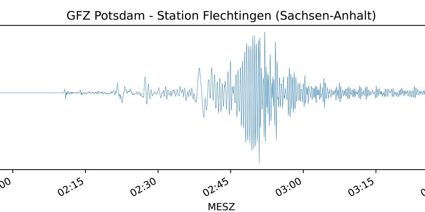 The ground movement shown in a coordinate system with the time on the x-axis and the ground displacement in micrometers on the y-axis. The oscillation starts slightly, rises sharply and slowly fades out after approx. 90 seconds.
