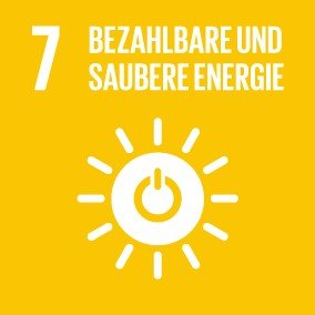 SDG icon
