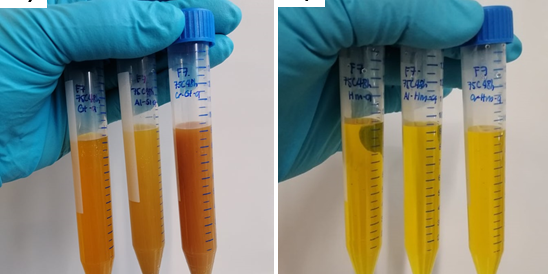Photo for Ruth's research update
