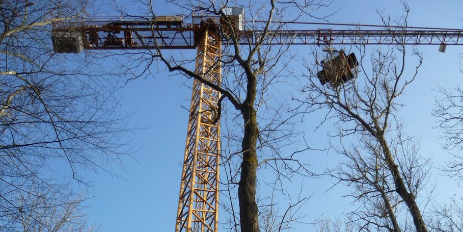 Forschungskran in der Wendeforst bei Drönnewitz