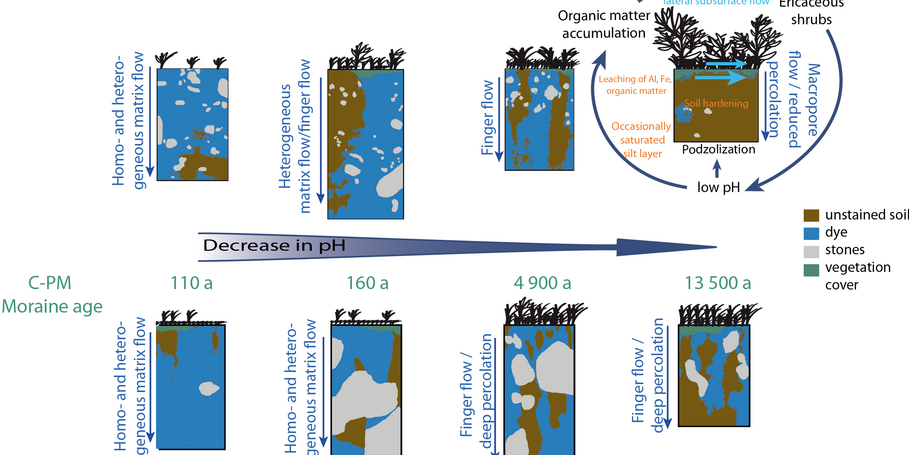 [Translate to English:] Coevolution
