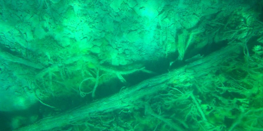 Drift wood at the Sary-Chelek lake floor