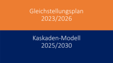 Gender Equality Plan