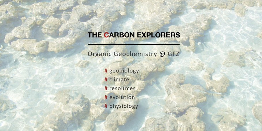 Description of the research group on a background of recent stromatolites in Hamelin Pool, Australia