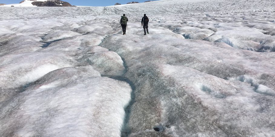 Mittivakkat glacier, Greenland. July 2019 INTERACT project AirMiMic