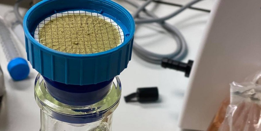 Photo for Rey's Research Update, September 2021