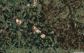 A satellite image of a landscape featuring many small patches in various shades of green. Interspersed among them are splashes of white, yellow, orange and red, which are much more frequent and denser on the eastern side of the image – in Poland.