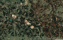 Satellitenaufnahme einer Landschaft mit vielen kleinteiligen Flächen in verschiedenen Grüntönen. Dazwischen Sprenkel in Weiß, Gelb, Orange und Rottönen, die auf der östlichen Seite des Bildes - in Polen - sehr viel häufiger und dichter sind.