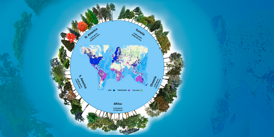 Baumarten als stilisierte Grafik auf der Erdkugel.