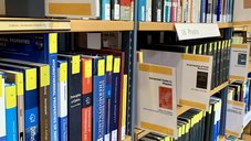 Books in a shelf