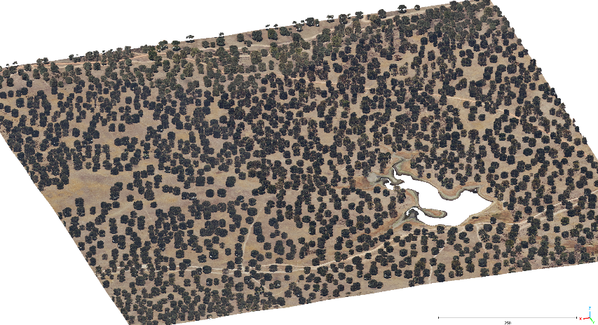 Figure 1: Airborne LiDAR data of Spanish holm oak forest.(© LiDAR-PNOA-cob2 2018 CC-BY 4.0 scne.es)