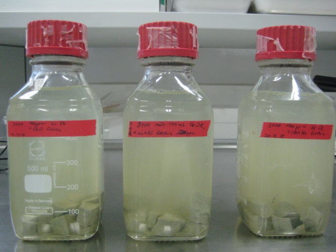 Laborversuch zum mikrobiologischen Abbau eines Inhibitors